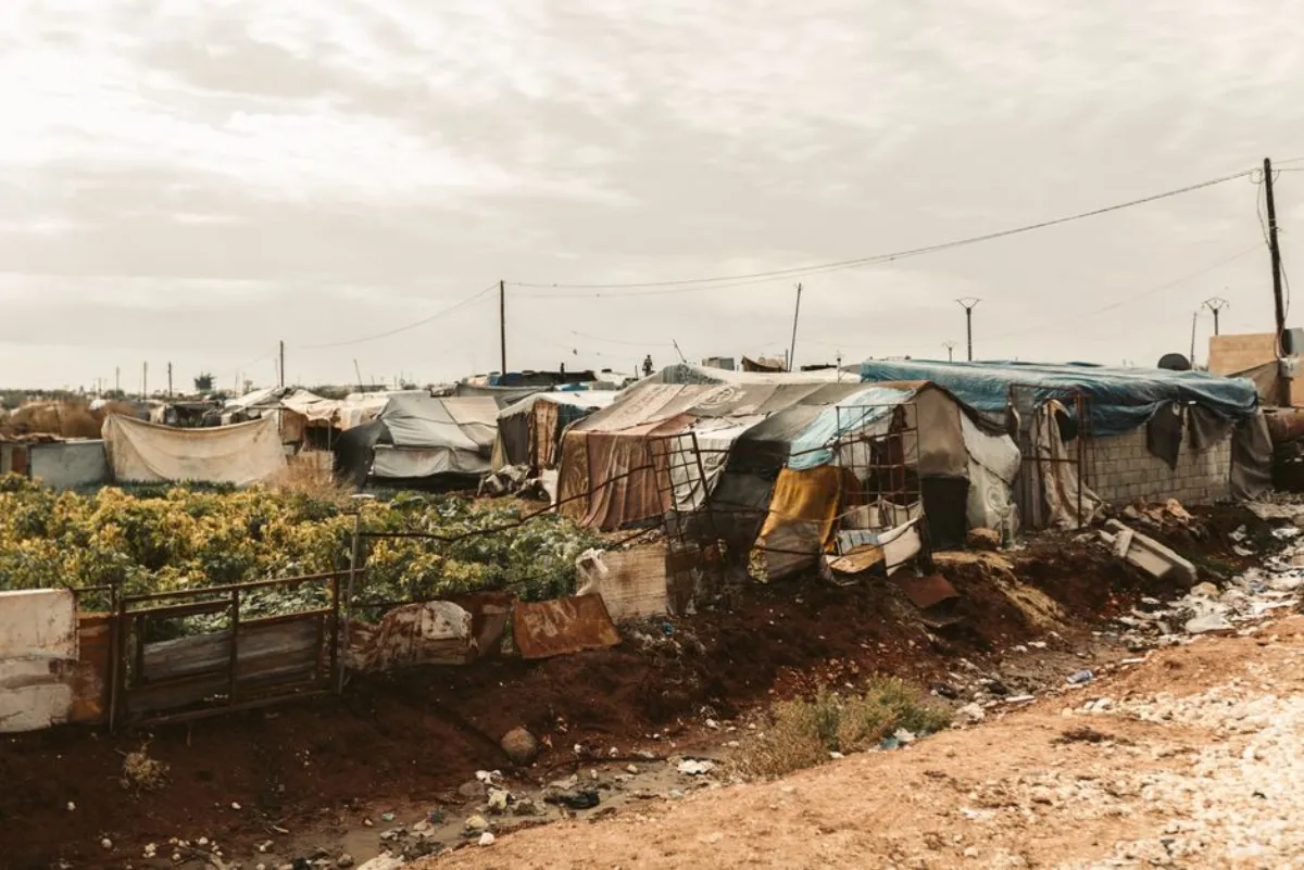 settlement survival